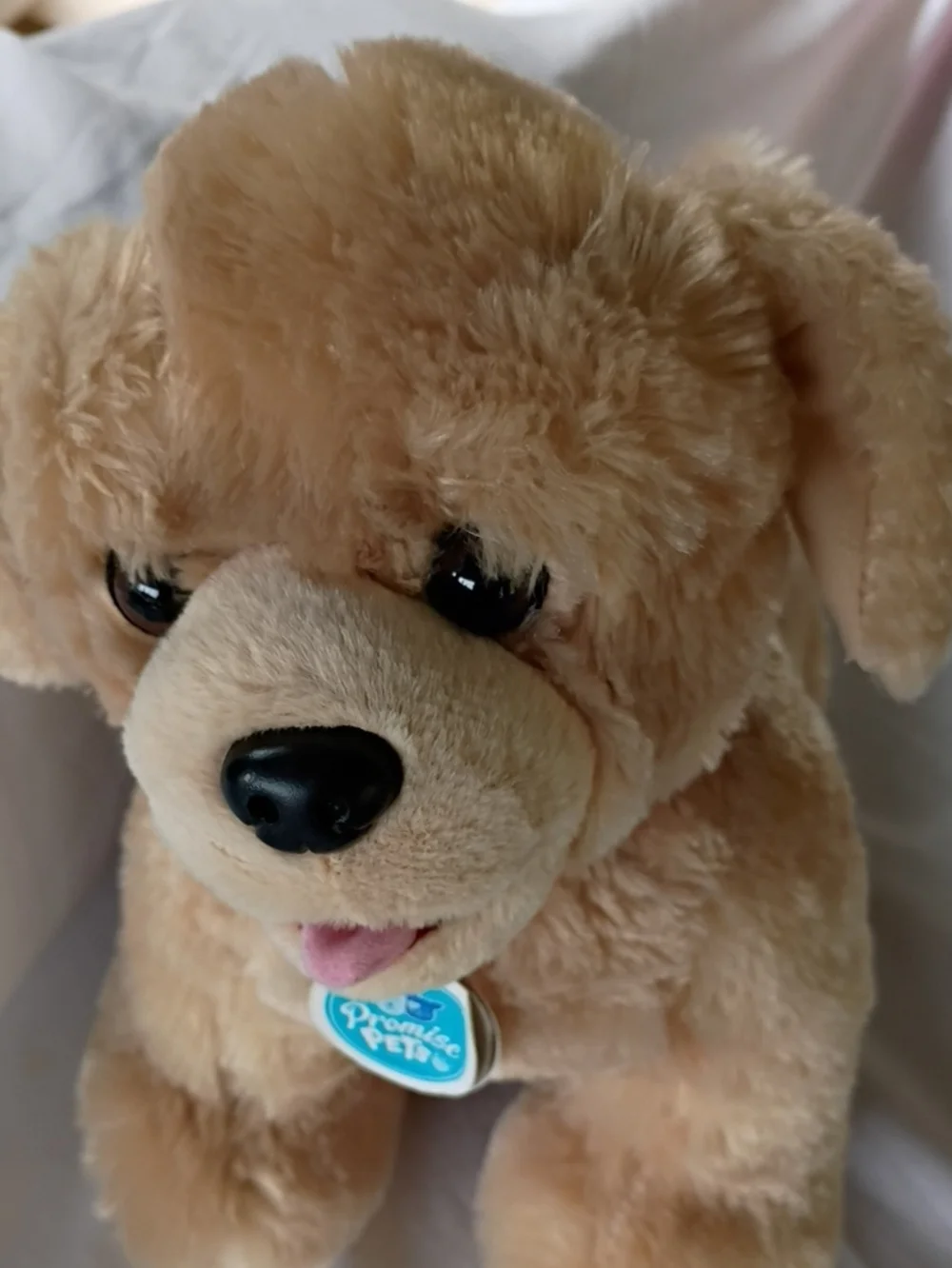 Build A Bear Promise Pets Golden Retriever 2024 BABW Stuffed Animal